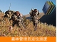 ST02B執(zhí)法船用定位終端(solar power)