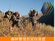 ST02B執(zhí)法船用定位終端(solar power)